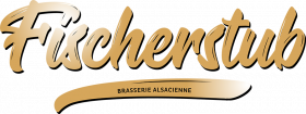 logo de Fischertub